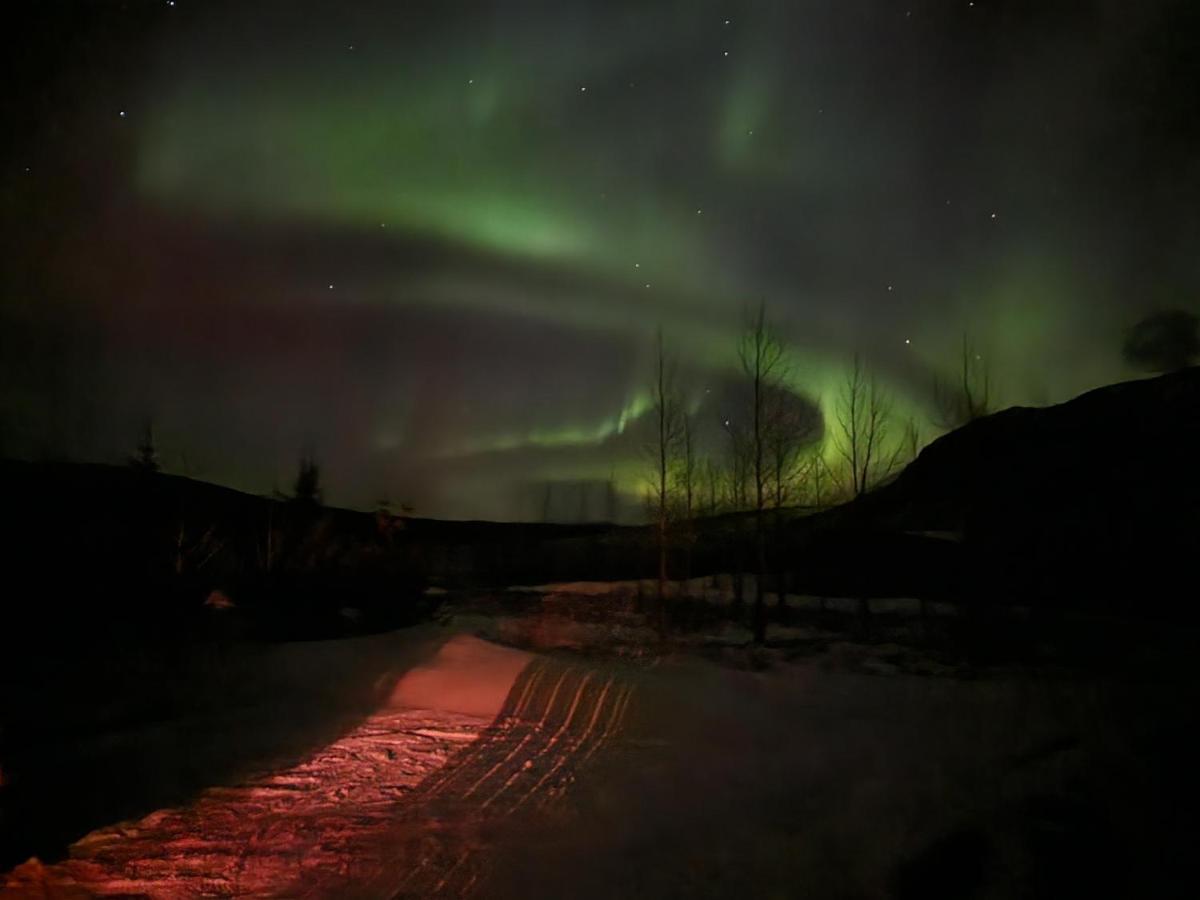 Golden Circle Cabin, Hot Tub Villa Geysir Exterior photo
